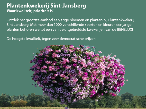 Eenjarige planten <p>Eenjarige planten</p>