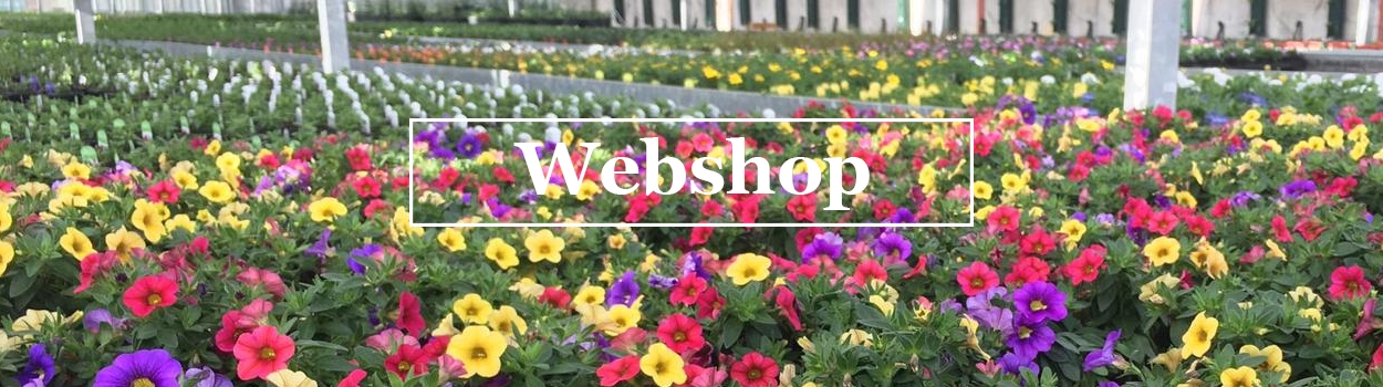 <p>webshop bloemen en planten</p>