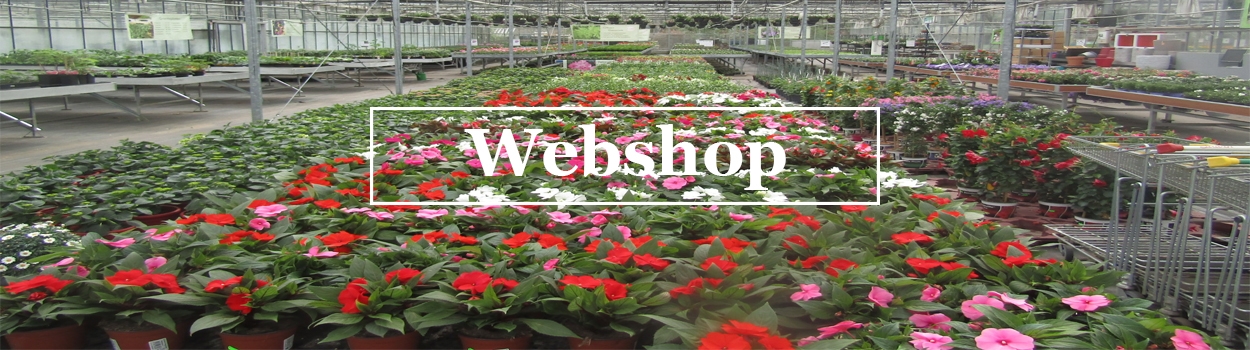 <p>webshop bloemen en planten</p>